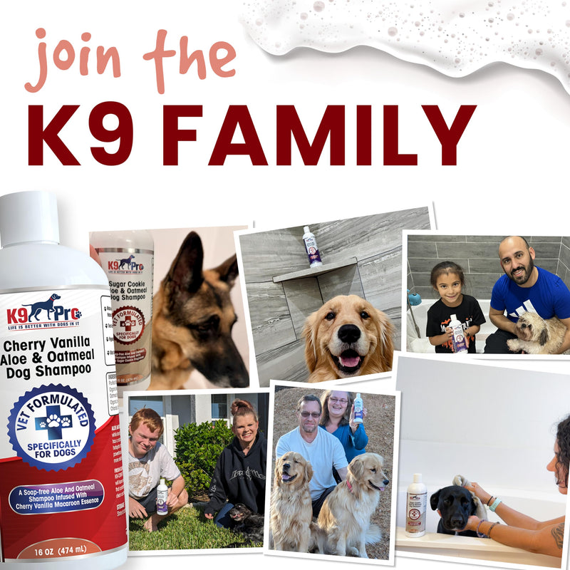 Dog Shampoo and Conditioner to Soothe, Moisturize, Cleanse, and Detangle - Amazing Cherry Vanilla Macaroon Scent with Aloe and Oatmeal All Natural Hypoallergenic Organic with No Parabens Or Sulfates - BeesActive Australia