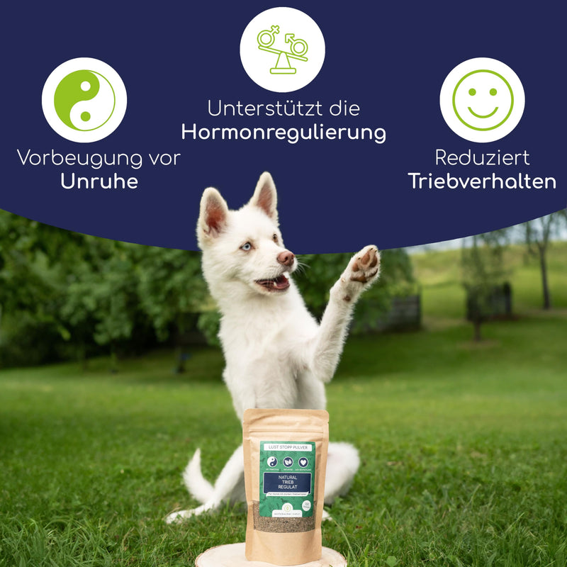 Drive stop dog powder - monk's pepper for male dogs, natural hormone regulation, behavior optimization, 100g - BeesActive Australia