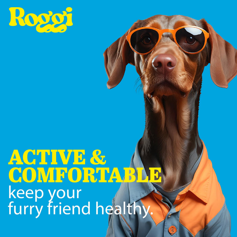 ROGGI Joint Care Chews For Dogs, Joint Supplements For Dogs, Glucosamine For Dogs, Dog Joint Supplements For Senior Dogs Mobility Chews
