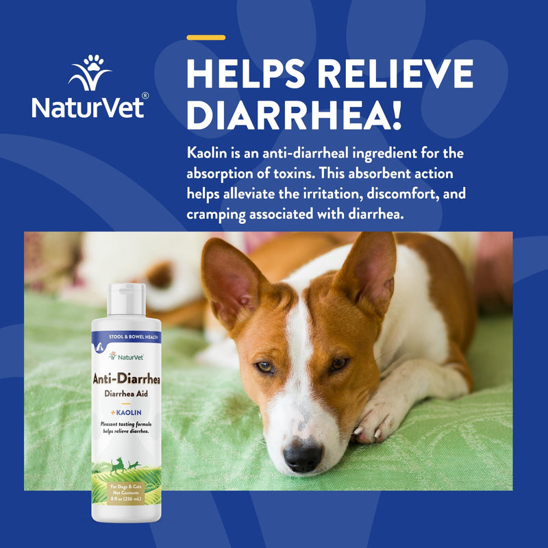 NaturVet Anti-Diarrhea Liquid Pet Supplement Plus Kaolin – Helps Alleviate Discomfort, Cramping, Irritation from Diarrhea for Dogs, Cats – Great Taste – 8 Oz. - BeesActive Australia