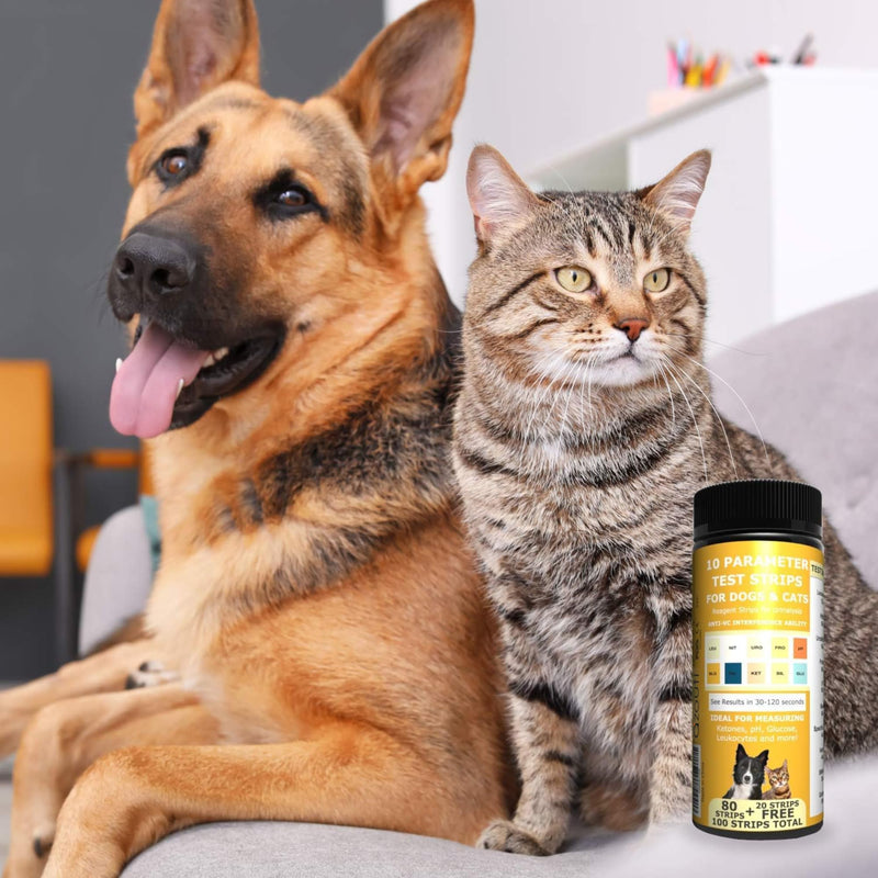 Pet Test Strips for Dogs, Cats, and Other Animal Pets. Accurate Urine Monitoring and Testing Kit That Helps Veterinarian Tests for Blood, Glucose, pH, Specific Gravity, UTI, Liver and Kidney Health. - BeesActive Australia