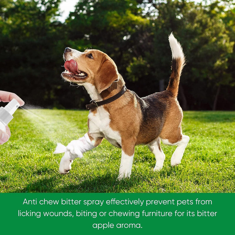Bitter Spray for Dogs to Stop Chewing, No Chew Spray for Puppies & Dogs, Effective Dogs Behavior Training Aids, Protect Your Furniture and Prevents Dogs from Biting 50ML - BeesActive Australia