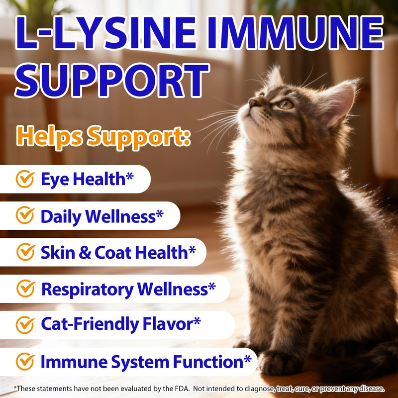 L-Lysine for Cats | 60ml Cat Supplements for Healthy Immune Defenses – Sneezing, Runny Nose, Watery Eye – Feline Respiratory & Vision, Skin & Coat Health – Astragalus, Burdock – Roast Chicken (1) 1