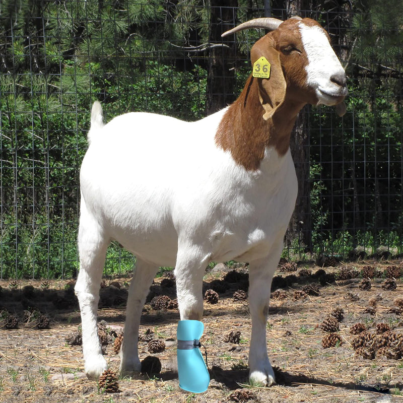 Goat Boot Protective Shoes for Sheep Goat Hoof Footsore Foot Rot