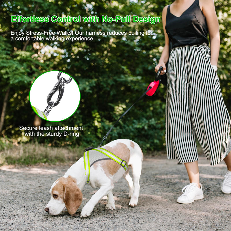 Visinite LED dog harness with light, dog harness luminous, rechargeable, 2 lighting modes, light harness for dogs, adjustable illuminated dog harness, light for safety when walking at night, green, large - BeesActive Australia