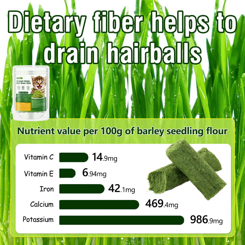 30g Cat Grass Snack, Cat Grass Sticks Naturally Dried Snacks for Cats for Hairball Removal and Dental Care, Catnip, Cat Grass Stick 30g - BeesActive Australia
