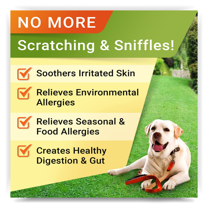 Allergy Relief Treats + Pumpkin for Dogs Bundle - Itchy Skin Relief + Upset Stomach - Omega 3 + Enzymes + Turmeric + Pure Pumpkin Powder - Skin & Coat Health + Digestion - 120ct + 8.1oz - Made in USA