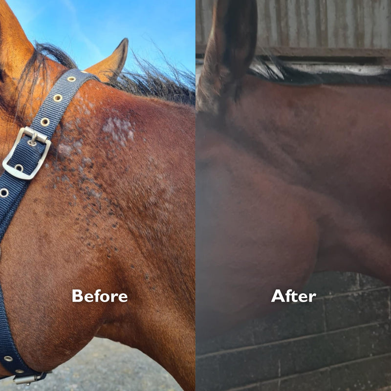 Anicura Horse Relief Spray 100ml – Soothes Itchy, Dry & Sensitive Skin – Instant Comfort for Sweet Itch, Irritation & Skin Conditions – Gentle & Natural Care for All Horses
