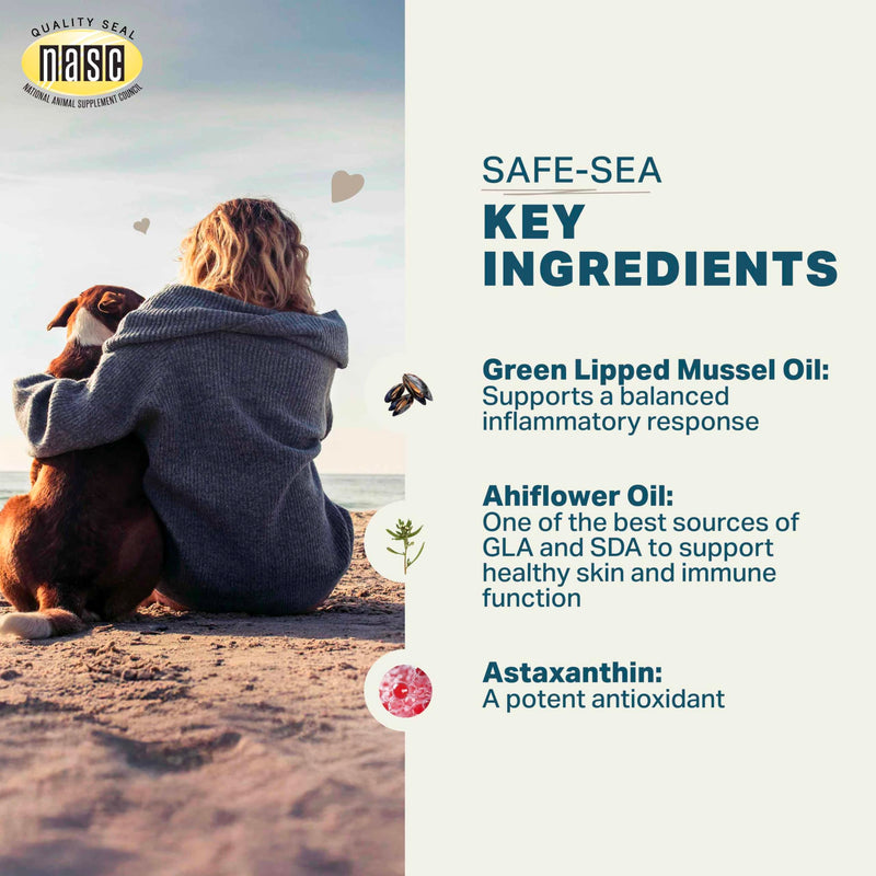 Protect + Safe-Sea