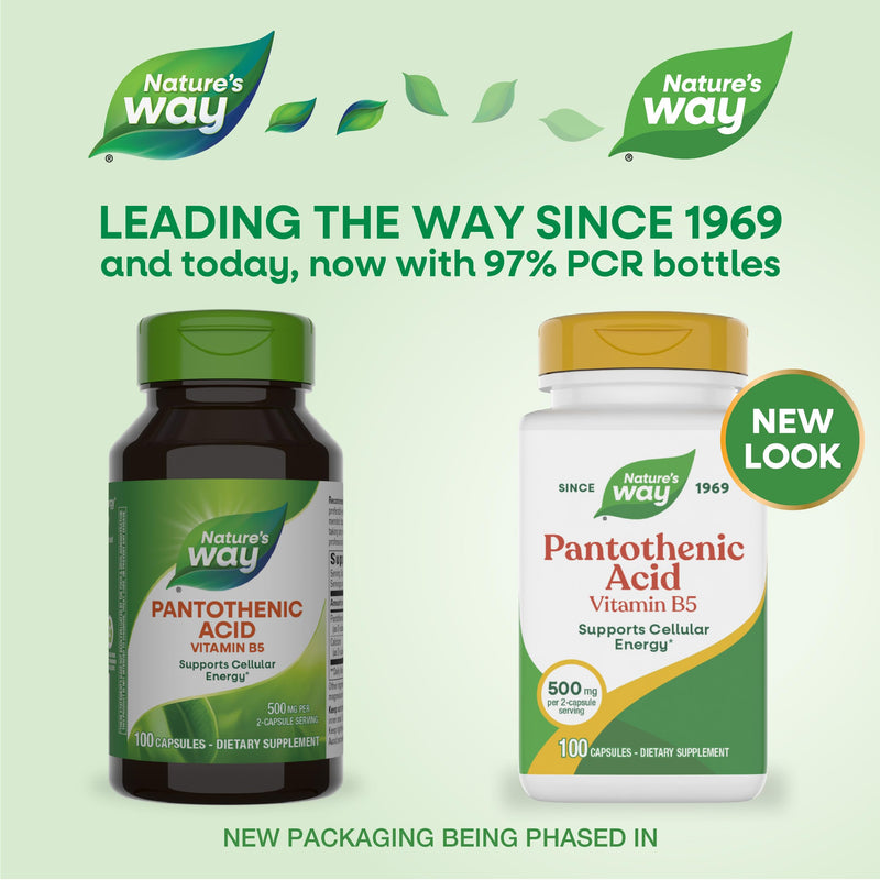 Nature's Way Pantothenic Acid Capsules, Supports Cellular Energy*, 100 ct | 500 mg per Serving, Vitamin B5, Helps Convert Food to Fuel*, Gluten-Free, Dietary Supplement Unflavored 100 Count (Pack of 1)