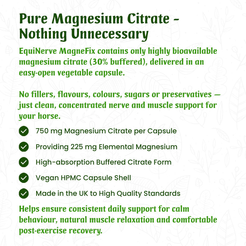 EquiNerve MagneFix for Horses | 240 Easy-Open Capsules - 4 Months Supply | Magnesium Citrate Horse Calmer, Mood, Muscle Tension & Comfort and Post-Excercise Recovery | Made in the UK