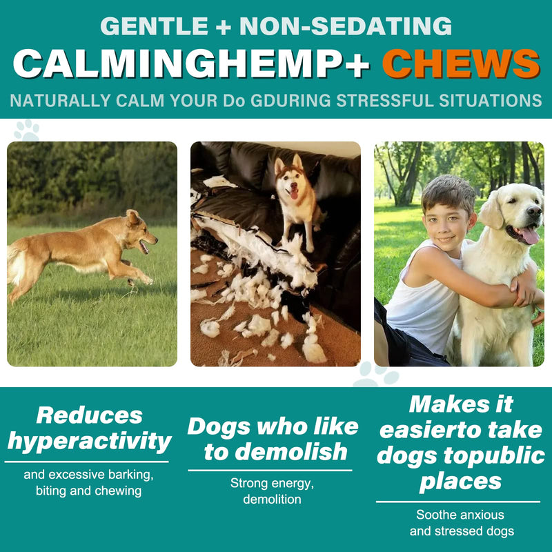 TailaiMei Calming Chews for Dogs,Dog Calming Treats,110 Soft Dog Calming Treats Chicken Flavor, Dog Anxiety Relief, Storms, Barking, Chewing