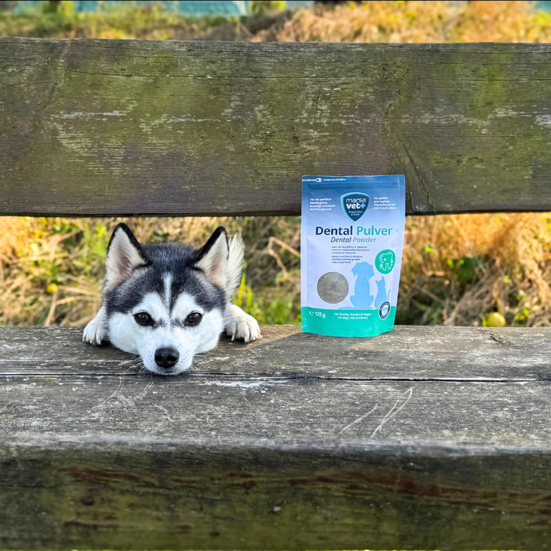 Marsavet Dental Powder - Dental Care for Dogs, Cats, Rodents with Insect Protein, Stress Free, Dog Toothbrush and Toothpaste, Eliminates Tartar, Plaque, Mouth Odour - 125g