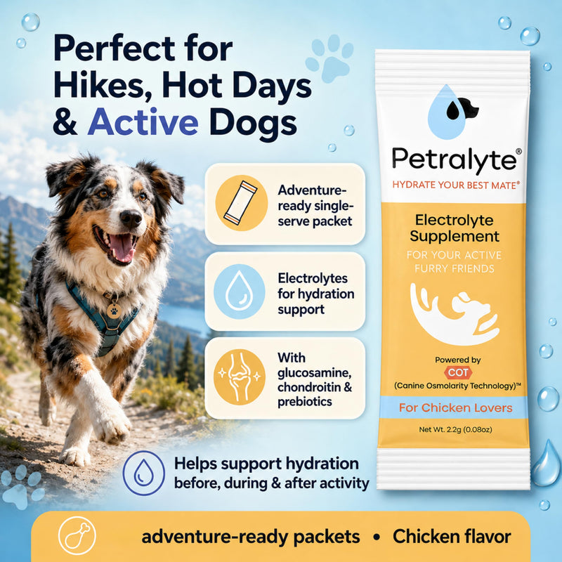 Petralyte Dog Electrolytes and Joint Supplement | Hydration Support for Dogs w/Glucosamine, Chondroitin & More | Electrolytes for Dogs with Prebiotics | for Chicken Lovers | 16 Packets 1-Pack (16 Packets)