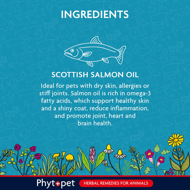 Phytopet Scottish Salmon Oil for Dogs, Cats, Horses and Small Mammals, Contains Omega 3 for Cats and Dogs 500ml - 100% Herbal Phytopet Pet Supplies