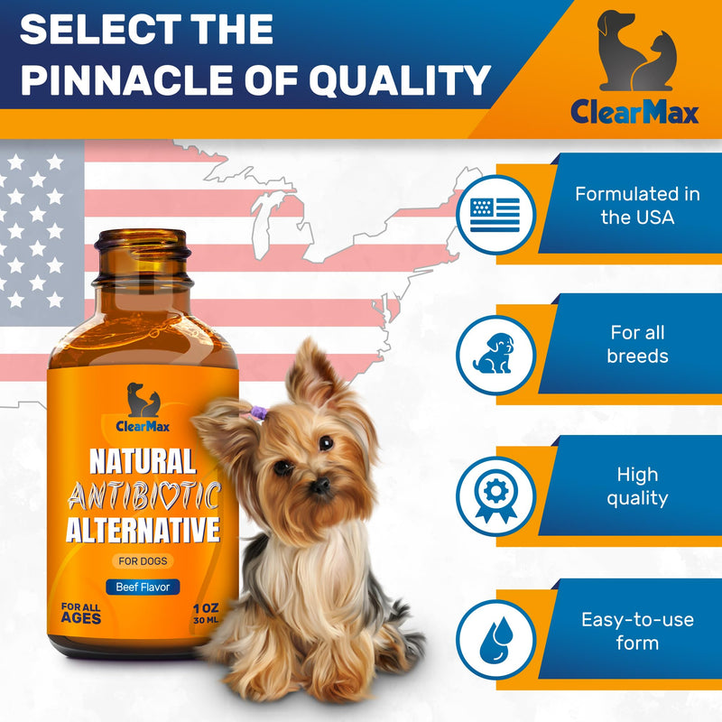 Dog Antibiotics ◆ Antibiotics for Dogs ◆ Natural Antibiotics for Dogs ◆ Antibiotic for Dogs ◆ Dog Antibiotic ◆ Beef Flavor ◆ 1 Oz - BeesActive Australia