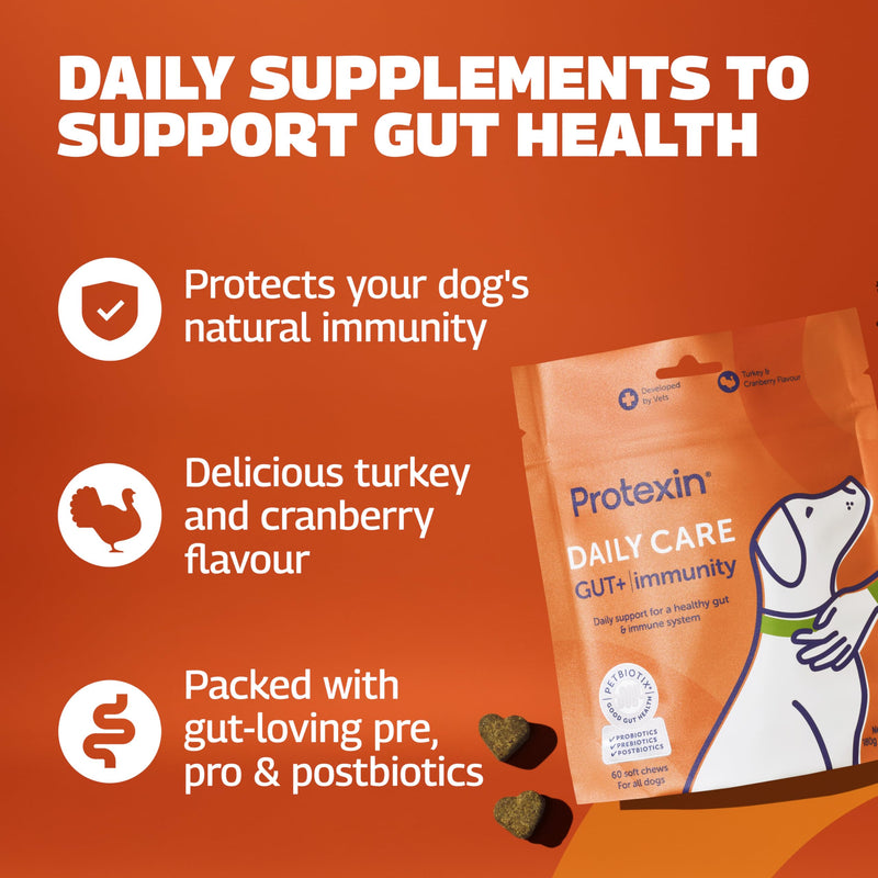 Protexin Daily Care Gut+ Immunity – Probiotic, Prebiotic & Postbiotic Chews for Dogs – Supports Gut Health, Immune Function & Digestion – Turkey & Cranberry Flavour – 60 Soft Chews