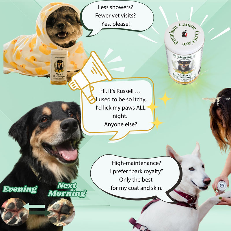 Dog Powder for Itchy Skin, Hot Spots & Yeasty Paws – Dry Shampoo for Sensitive Skin with Probiotics, Antioxidants & Prebiotics - Waterless - PawsPlanet Australia
