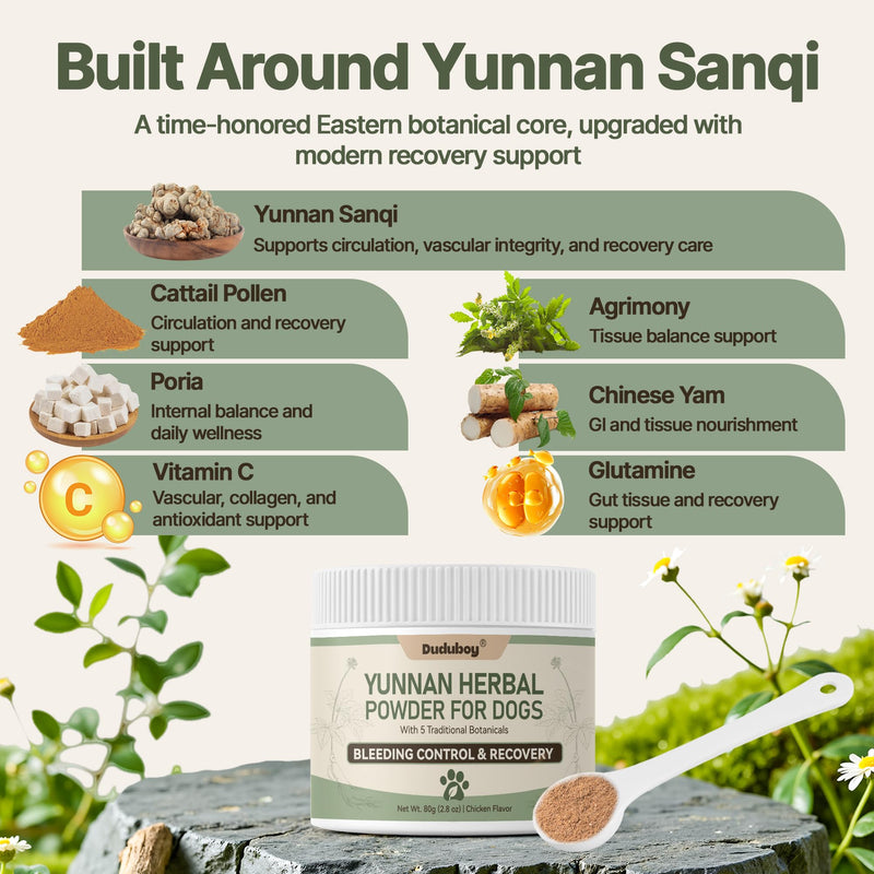 Yunnan Sanqi Powder for Dogs, Natural Herbal Blood Support for Hemangiosarcoma, Hemoabdomen, Pericardial Effusion, Ulcer-Related Bleeding, Bloody Stools, Recovery Support, Quick Stop Bleeding for Dog