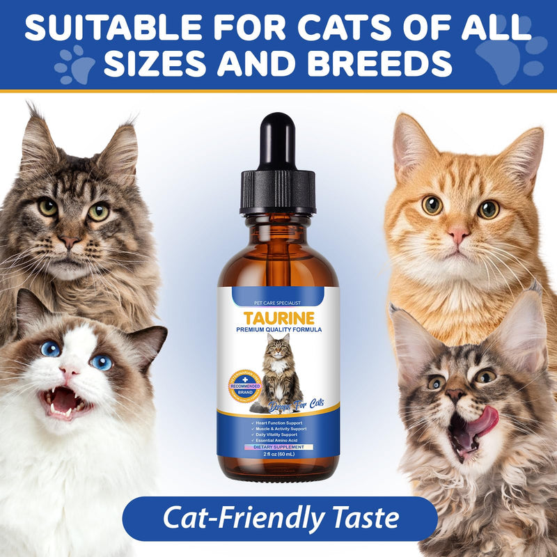 Taurine Drops for Cats – Liquid Taurine Supplement for Eyesight, Heart, Muscle & Immune Support, Promotes Digestion & Absorption, Essential Amino Acid for Daily Vitality & Wellness – 2 fl oz