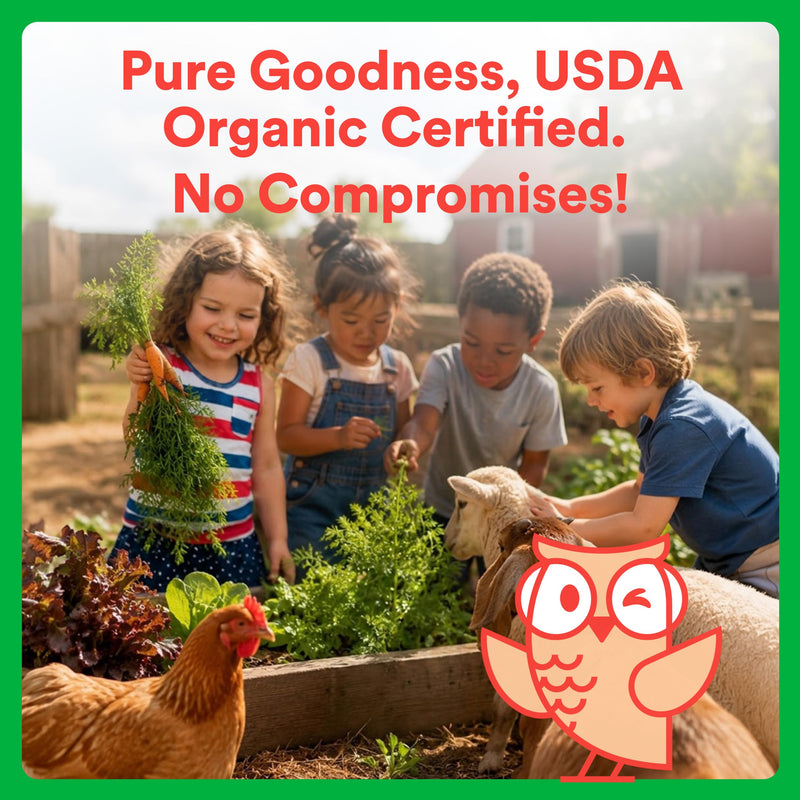 SmartyPants Organic Kids Multivitamin Gummies: Omega 3 (ALA), Beta Carotene, Vitamin B12, B6, A, K & Zinc for Immune Support, Biotin, Vegetarian, Three Fruit Flavors, 120 Count (30 Day Supply) 1 Count (Pack of 1) Organic + Omega