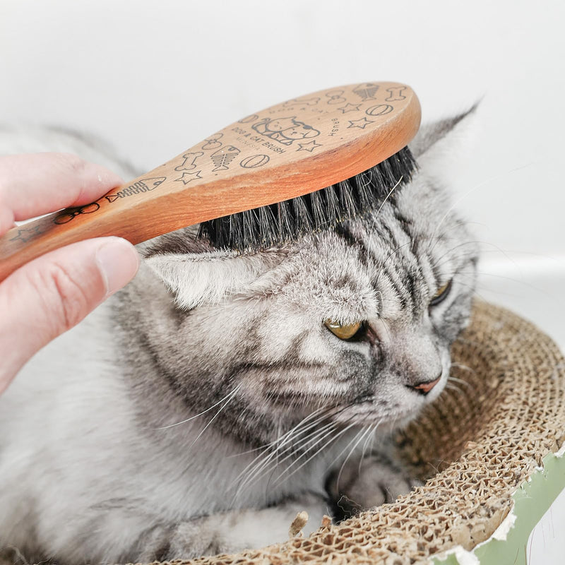 Pet Soft Brush with Wood Handle and Boar Bristle Hair Brush - Soft Cat and Dog Grooming Brush for Short Hair Cats and Small Dogs - Soft Bristles for Gentle Massage and Dandruff Removal (Cat) - BeesActive Australia
