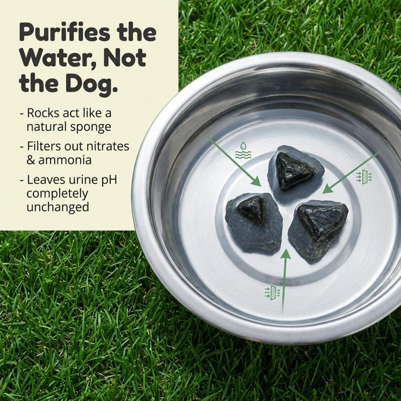 Dog Rocks for Urine Burning Grass - 200g Natural Pet Rock to Help Maintain Green Lawn - Grass Savers for Dog Urine - 2 Month Supply for Use in Water Bowls or Yard