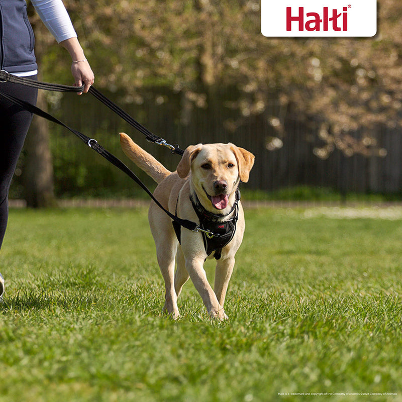 HALTI Training Leash - Multifunctional Double-Ended Dog Leash, Ideal for Anti-Pulling Dog Training. Easy to Use, Lightweight & Durable. Suitable for Medium to Large Dogs & Puppies (Size Large, Black) - BeesActive Australia