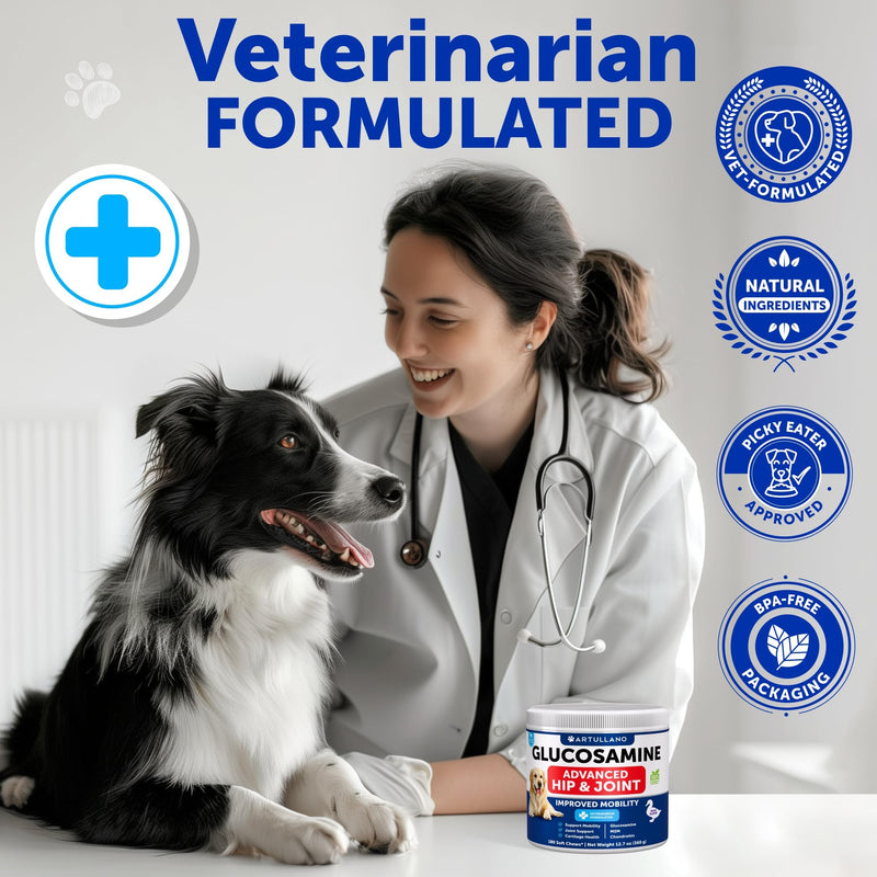 Glucosamine for Dogs - Hip and Joint Supplement for Dogs with Arthritis - Chews with Chondroitin, Hemp Oil, MSM - Canine Joint Pain Relief Health - Mobility Support for Large Breeds - 180 Soft Treats 180 Glucosamine Chews