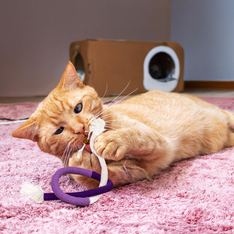 Cat Chew Rope - 3 Pack Cat Chew Ropes for Teeth Cleaning, Kitten Teething Toys with Stick to Transfer Chewing from Wires to Cotton String 3 Chew Ropes