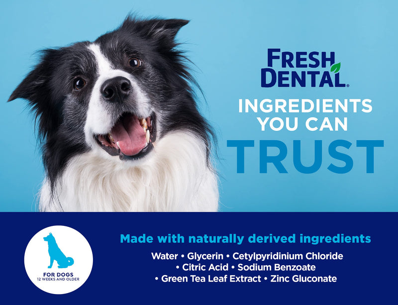 Fresh Dental Dental Health Solution for Dogs, 18oz Dental Formula 18 Fl Oz (Pack of 1) - PawsPlanet Australia