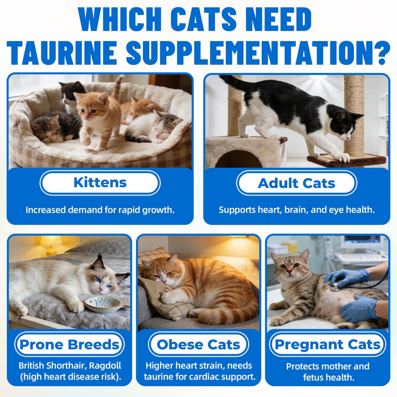 Just Try 6.35 oz Cat Taurine Bites - Taurine for Cats with L-Carnitine, Omega 3 and Vitamins - Supports Immune, Heart and Eyes Health Cat Supplements 300 Bites
