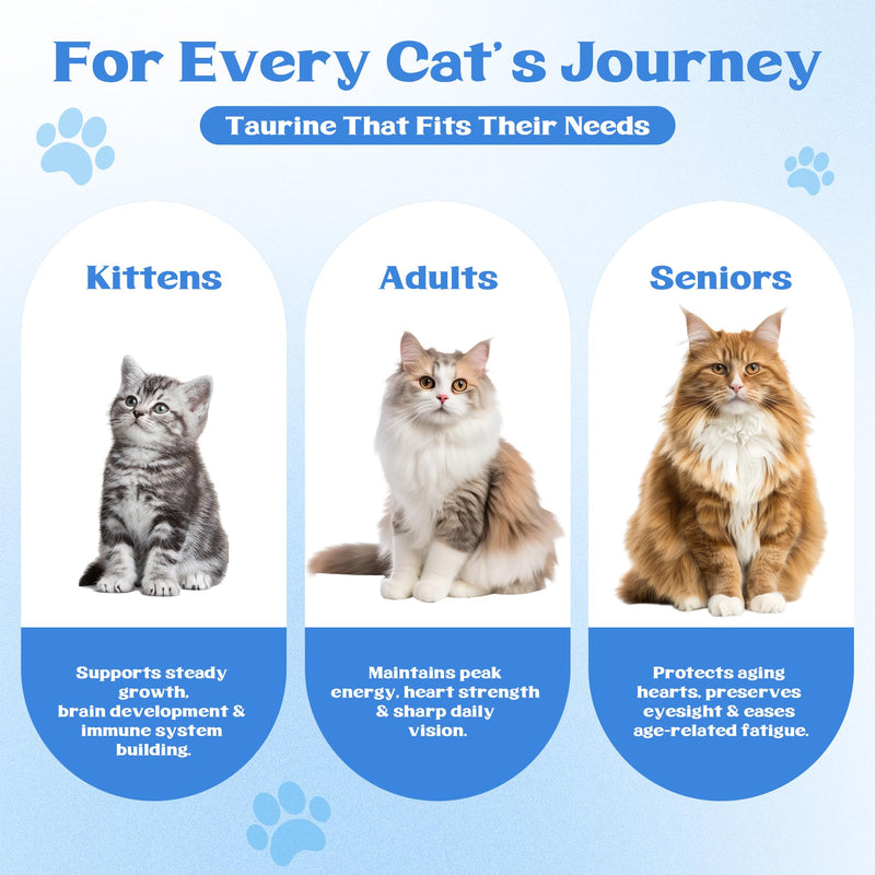 Taurine Powder for Cats - Supports Heart & Vision Health, Immune Support, Boosts Energy & Vitality, Skin & Coat Wellness, 99.9% Pure, Water-Soluble with Dosing Spoon, 200g