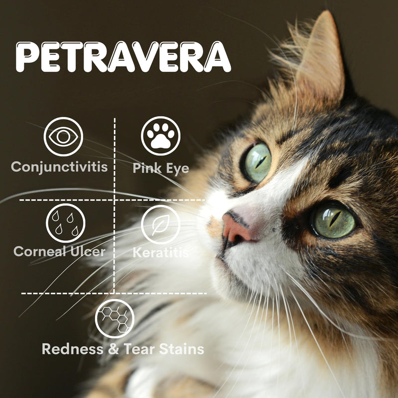 PetraVera Pet Eye Care for Cats, Dogs and All Pet 1/8 oz - 5gr