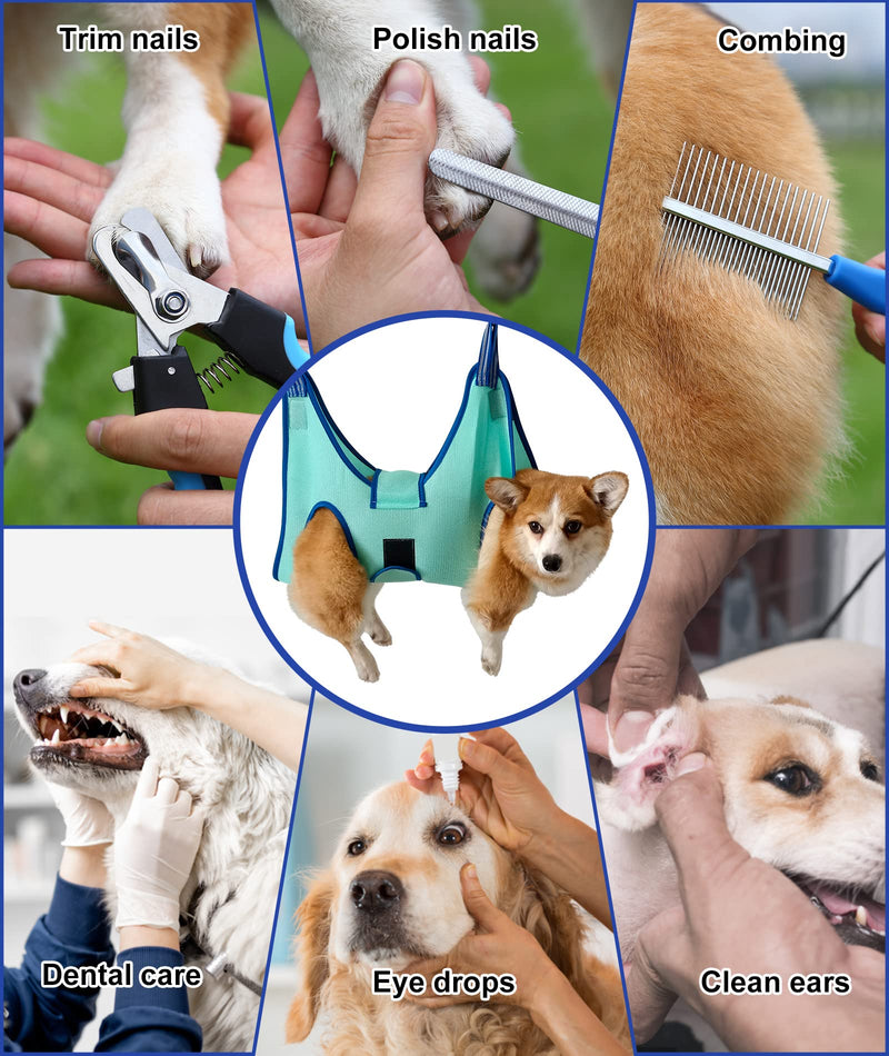 Kkiimatt Pet Grooming Hammock Harness, Dog Grooming Hammock Small Dogs, Dog Nail Trimming Hammock with Nail Clippers, Dog Hammock for Grooming with Wide Strap (XX-Small 3.5 KG Max/Turquoise) XX- Small 3.5 KG Max/Turquoise - BeesActive Australia