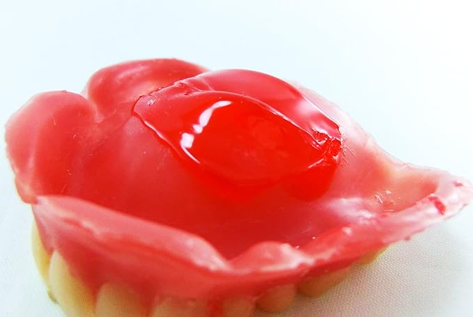 tahugurippukusshon Pink, Dentures, Stabilizers (Total, Dentures, and part, Dentures,) G - BeesActive Australia