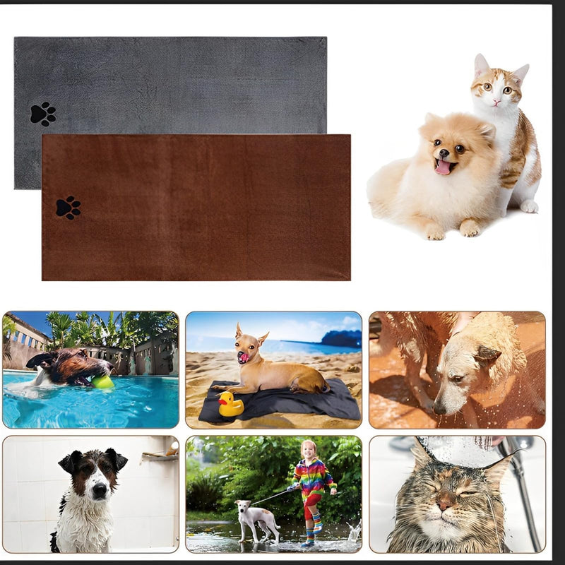 Pack of 2 dog towels, dog towel extra absorbent for dogs and cats, dog accessories, quick-drying pet microfibre towels, 75 x 35 cm dog towel for cats, dogs or other pets - BeesActive Australia