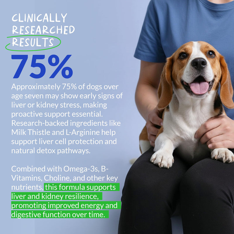 Liver and Kidney Support for Dogs & Liver and Kidney Support Powder for Cats