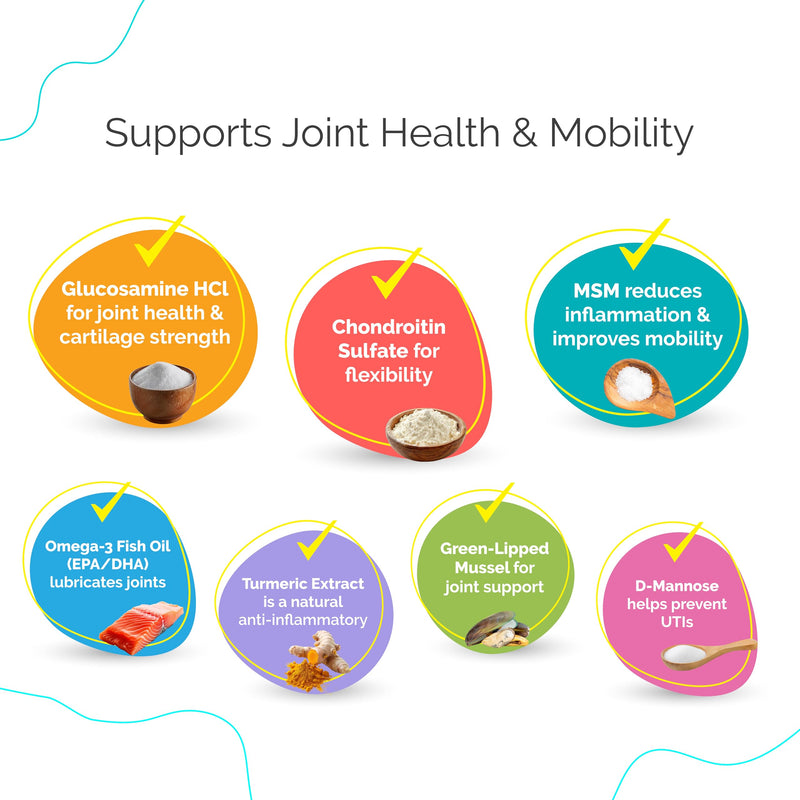 Joint Support Soft Chews Supplements | Cat Wellness Formula with Glucosamine | Joint Support & Pain Relief for Cats of All Ages | Vet-Approved Mobility Support | 200 Count