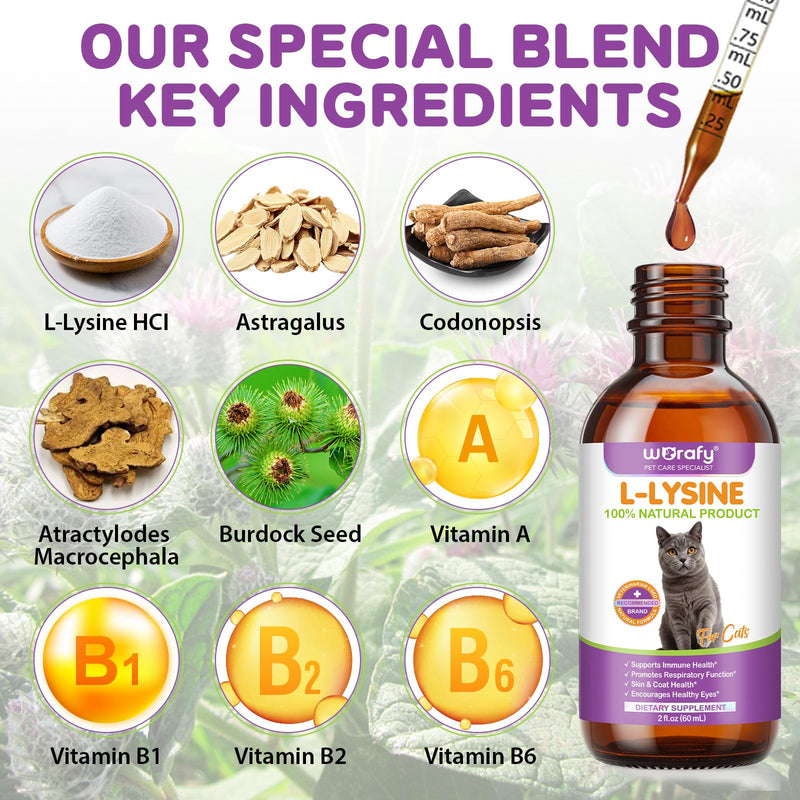 L-Lysine Drops for Cats 60ml - Cat Herbal Supplement for Immune Support, Respiratory & Eye Health - Daily Liquid Support for Cats with Natural Ingredients, Chicken Flavour - 2 fl.oz 2 fl oz
