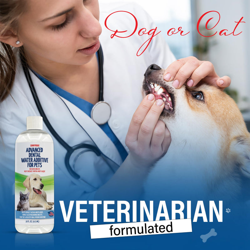 Dog Dental Water Additive – Dog Breath Freshener & Teeth Cleaner, Eliminates Bad Breath, Controls Plaque & Tartar, Gum Health Support, No Toothpaste or Brushing, Tasteless & Odorless