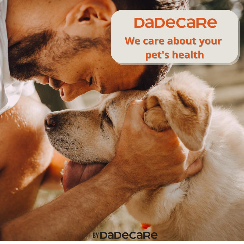 Salmon Oil for Dogs and Cats 500ml - Omega 3-6-9, Vitamin E, Camelina and Linseed - Strengthens Coat, Joints and Immune System - Natural Ingredients for Barf Diets