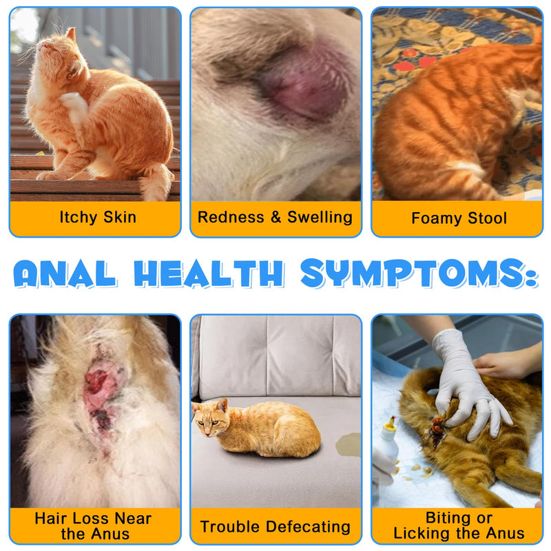 Anal Gland Support Powder for Cats, Anal Gland Supplement Powder with Pumpkin and Probiotics Supports Cats Anal Gland Health, Pet Supplement Anal Gland Support Powder Treatment for Cats - 120g - BeesActive Australia