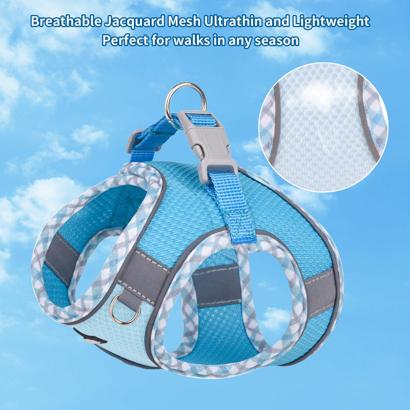 AIITLE Durable Dog Harness and Leash Set for Walking, Step in Vest Harness, Reflective Bands, Soft Breathable Pet Supplies, for Extra Small Dogs and House Cats Blue XXXS XXXS(Chest: 8.5 - 10") - BeesActive Australia