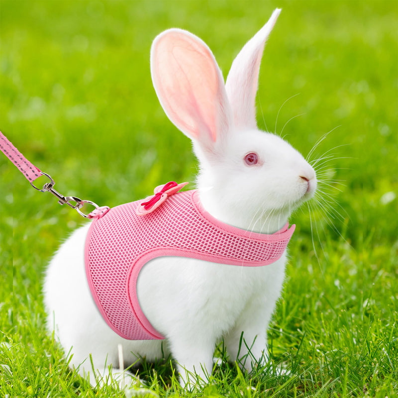 AIITLE Bunny Harness and Leash Set, Soft Breathable Mesh Vest Harness with Cute Bow for Rabbits Kitten Ferret Small Pig Puppy Walking Supplies Pink M Medium - BeesActive Australia