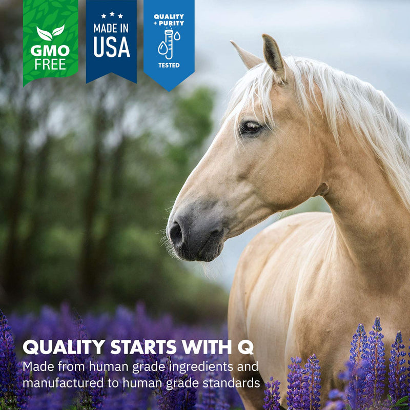 HealthyGut™ Probiotics for Horses Dietary Supplement, All-Natural Digestive System Maintenance Formula (30 Days) 30 Servings (Pack of 1) - BeesActive Australia