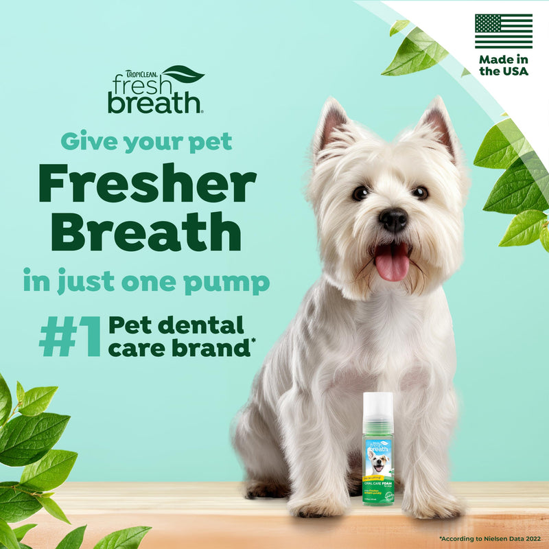 TropiClean Fresh Breath Foam for Dogs & Cats | Cat & Dog Dental Foam| Dog Breath Freshener Foam| Oral Care for Dogs & Cats | Made in The USA | 4.5 oz﻿ - BeesActive Australia