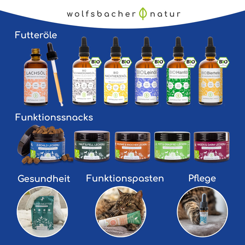 Natural gastrointestinal paste for cats - cat snack with probiotics and elm bark - supports digestion and intestinal flora, gastro intestinal paste - BeesActive Australia