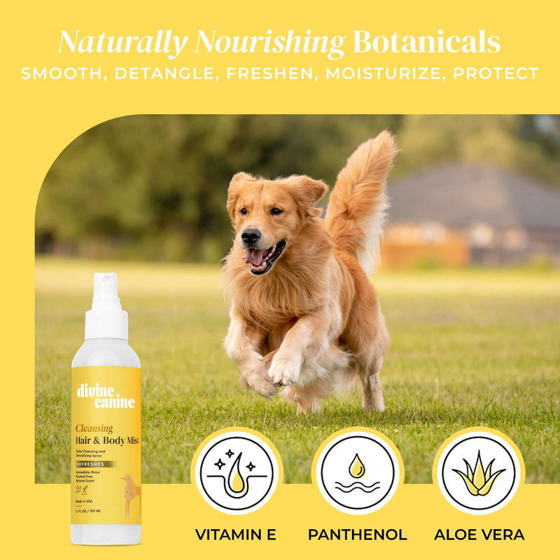 Cleansing Hair and Body Spray for Dogs - 5.1 Fl Oz of Dog Deodorizing Spray Long Lasting Formula - Everyday Body Spray with Aloe, Lemongrass Oil, and More - Made in The USA - BeesActive Australia