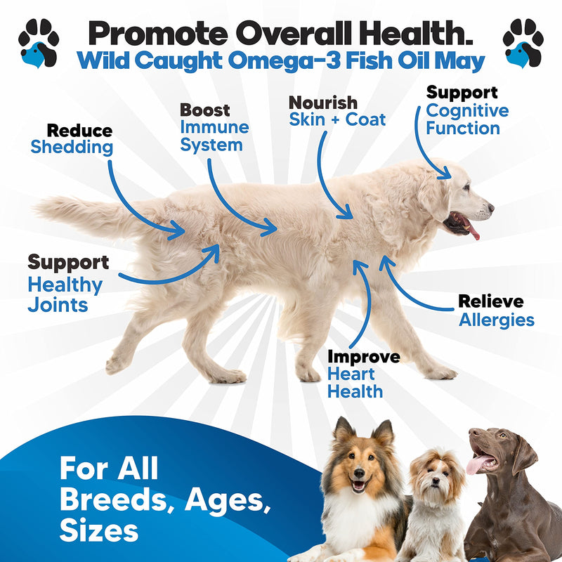 Omega 3 Fish Oil for Dogs - Better Than Salmon Oil - Dog Fish Oil Supplement to Reduce Shedding & Itching - Supports Joints, Brain, and Heart Health - Skin and Coat Supplement - Liquid Fish Oil 32 oz - PawsPlanet Australia